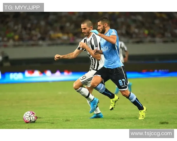 AC米兰迎战费拉拉SPAL期待精彩对决与胜利之路